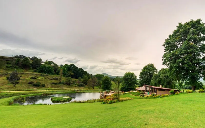 Modern house in lush green landscape with pond and trees