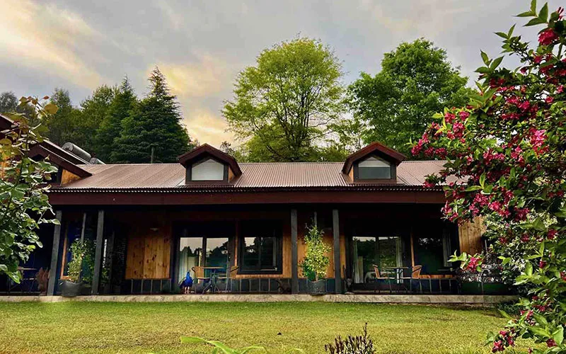 Wooden cabin with large windows surrounded by greenery and flowers