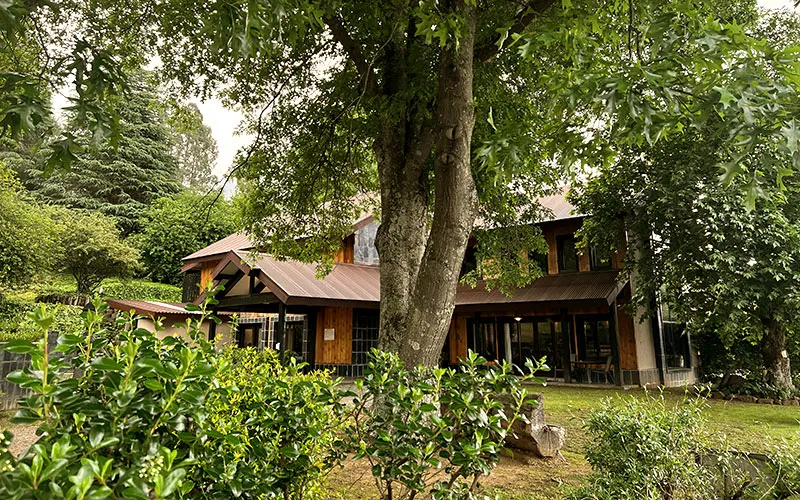 Wooden house surrounded by trees and greenery in a garden setting