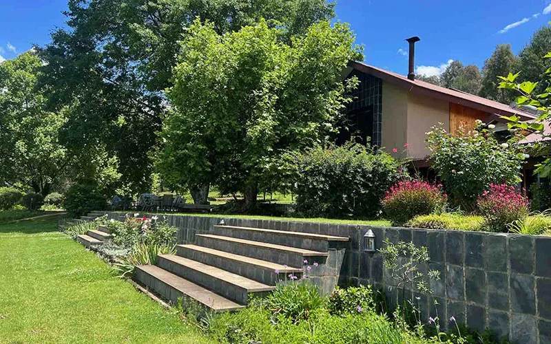 Stone steps lead to a house surrounded by greenery and flowers