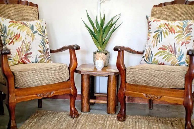 Two wooden chairs with floral cushions and a plant on a small table
