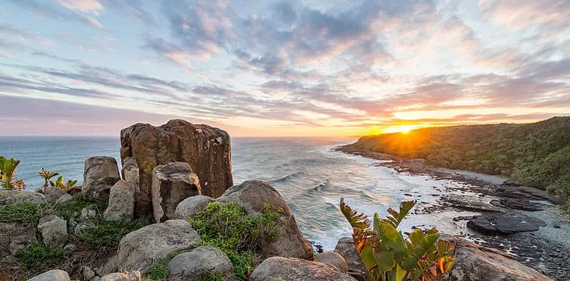 Rocky coastline with sunset over the ocean lush greenery in the foreground