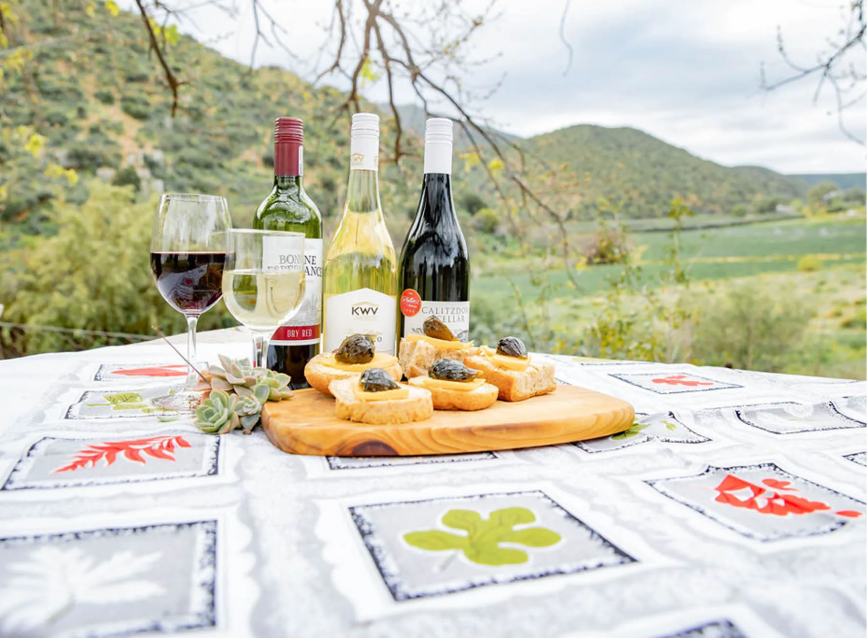 Matjiesvlei Guest Farm