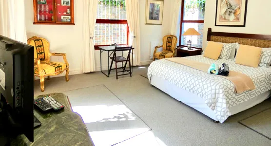 Cozy bedroom with a bed TV chairs and a window with curtains