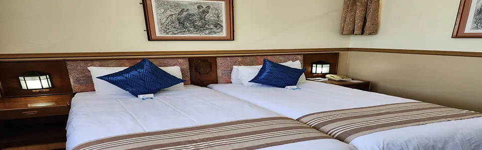 Two single beds with blue pillows in a hotel room with wooden headboards