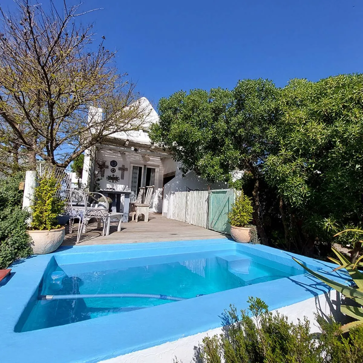 Small blue pool in a garden with white furniture and green plants