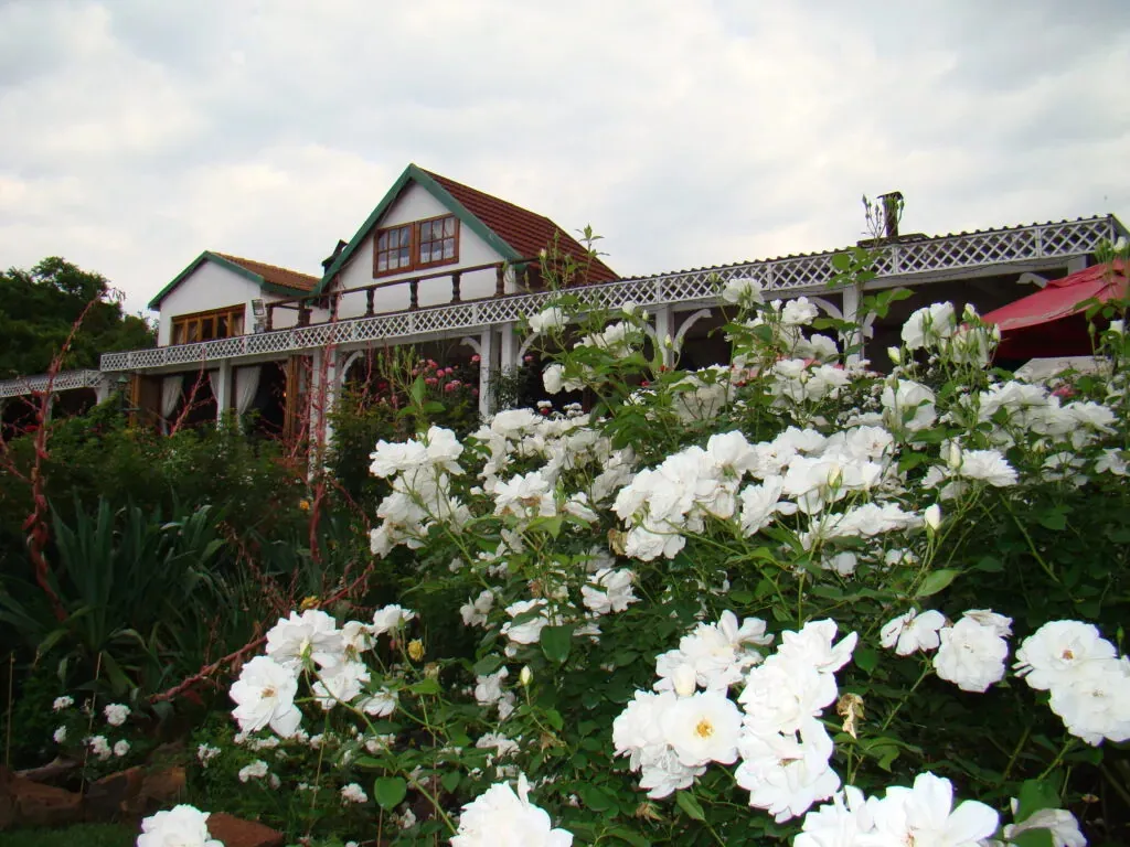 White flowers in front of a house with a green roof and wooden railing