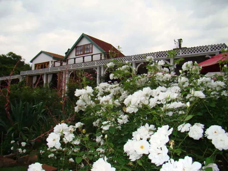 White flowers in front of a large house with a green roof