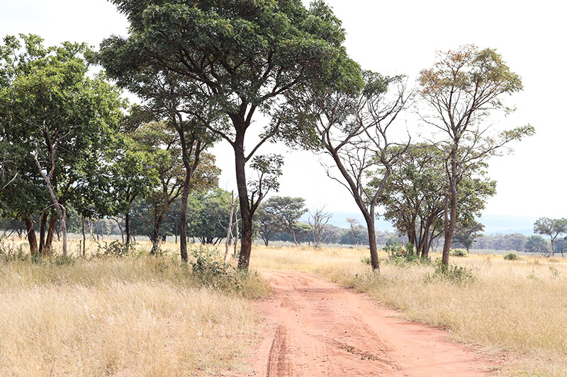 Thokozela Game Ranch