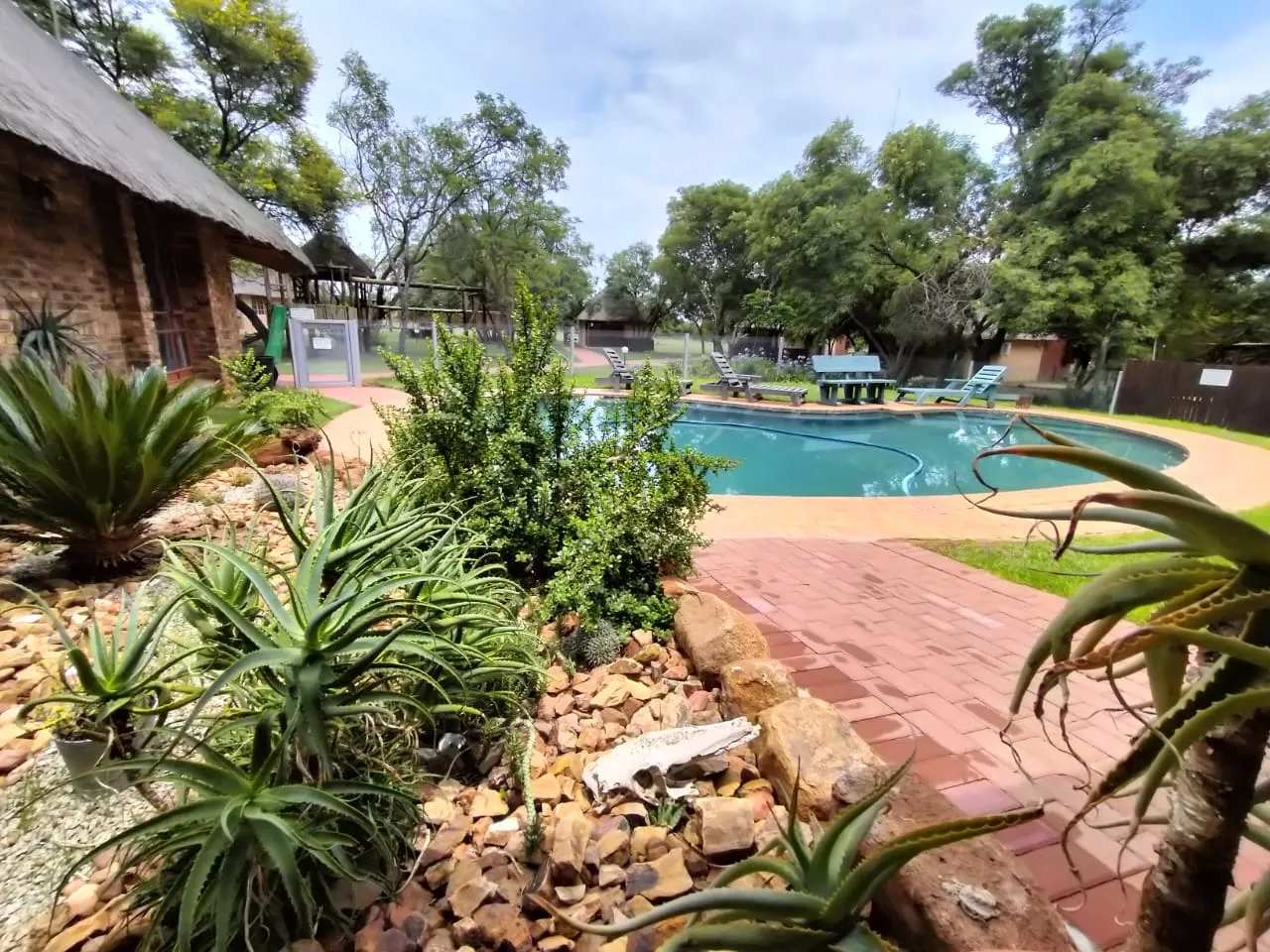 Swimming pool surrounded by plants and trees in a garden setting