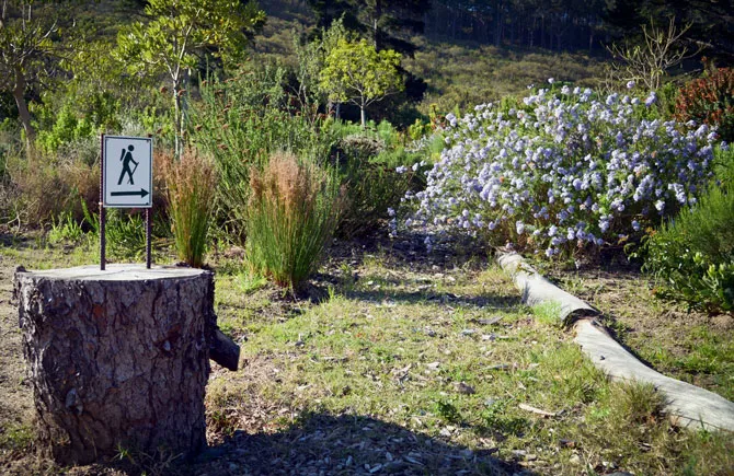 Wooden stump with a hiking trail sign in a natural grassy setting