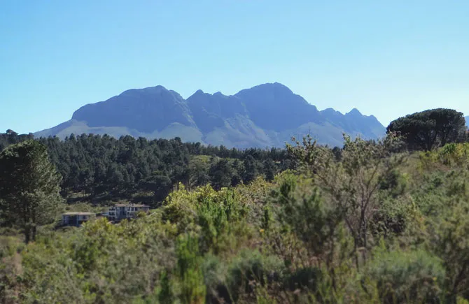 Mountain range with trees and shrubs in the foreground under a clear sky