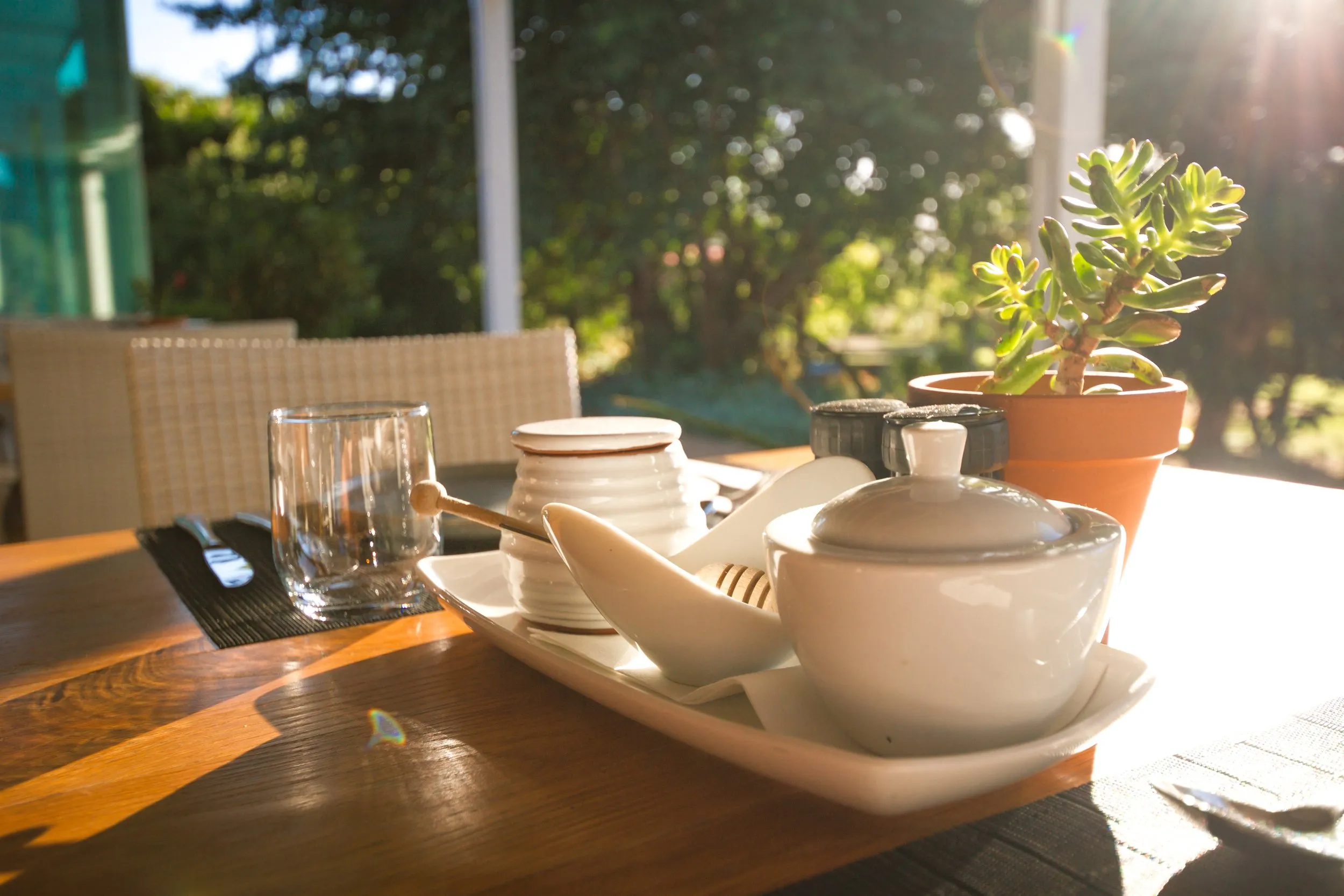 Wooden table with tea set glass and potted plant in sunny outdoor setting