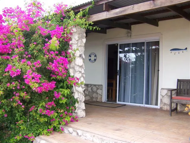 Patio with sliding door flowering plants and wooden bench outside a house