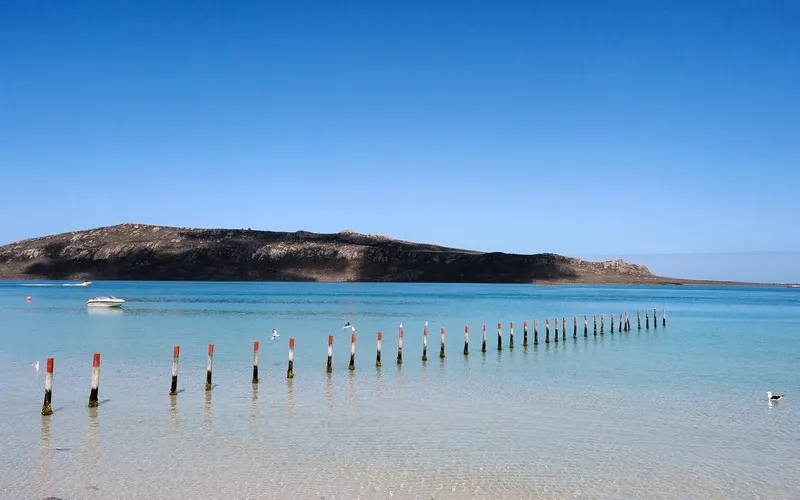 Row of poles in shallow water with a boat and rocky coastline in background