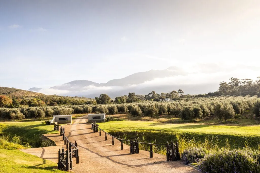 Dirt path through green fields with mountains and mist in the background