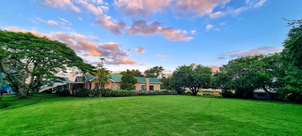 Lush green lawn with trees and houses under a colorful sky at sunset