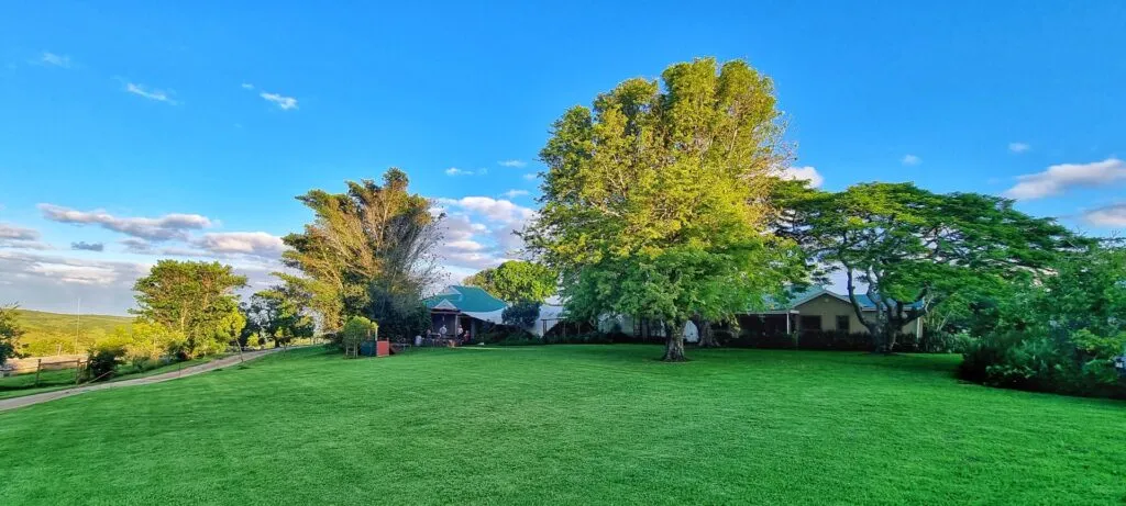 Lush green lawn with trees and buildings under a blue sky with scattered clouds