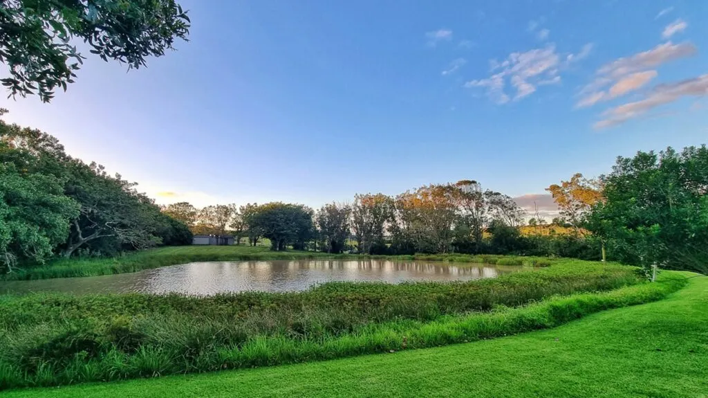 Pond surrounded by greenery and trees under a blue sky with some clouds