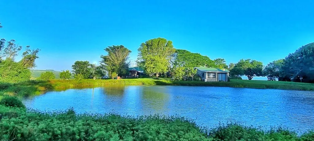 A serene pond with trees and a small building in the background