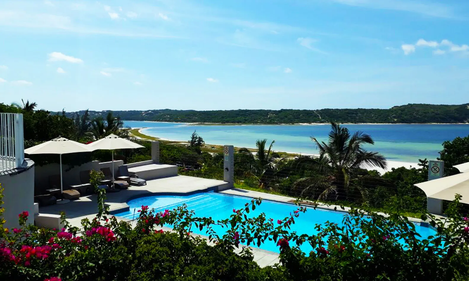 Swimming pool with ocean view surrounded by greenery and flowers