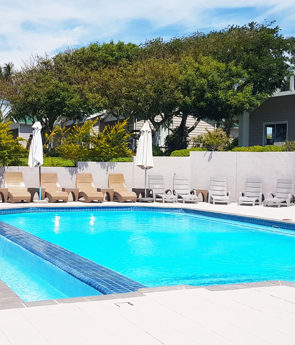 Swimming pool with lounge chairs umbrellas and greenery in the background