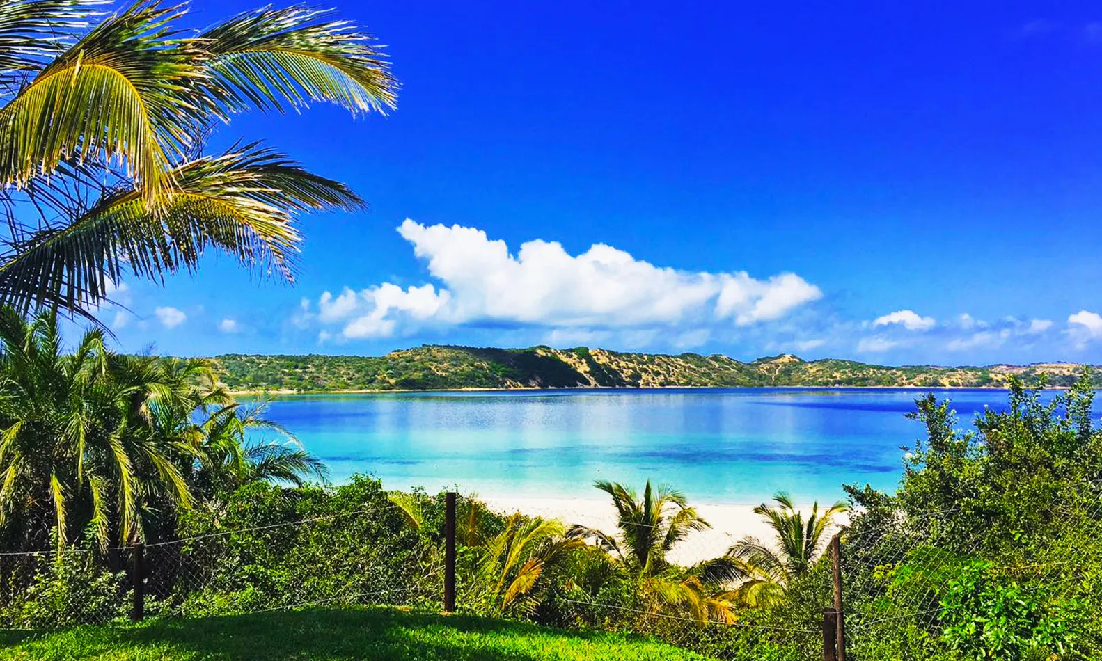 Tropical beach with palm trees clear blue water and a sunny sky