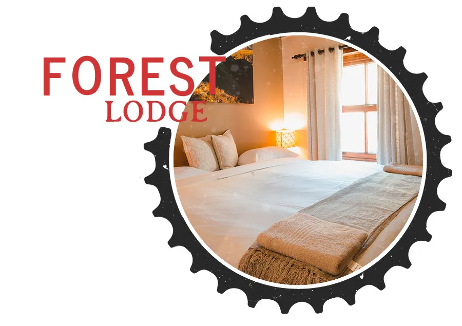 Cozy bedroom with bed and window framed by a gearlike design text FOREST LODGE