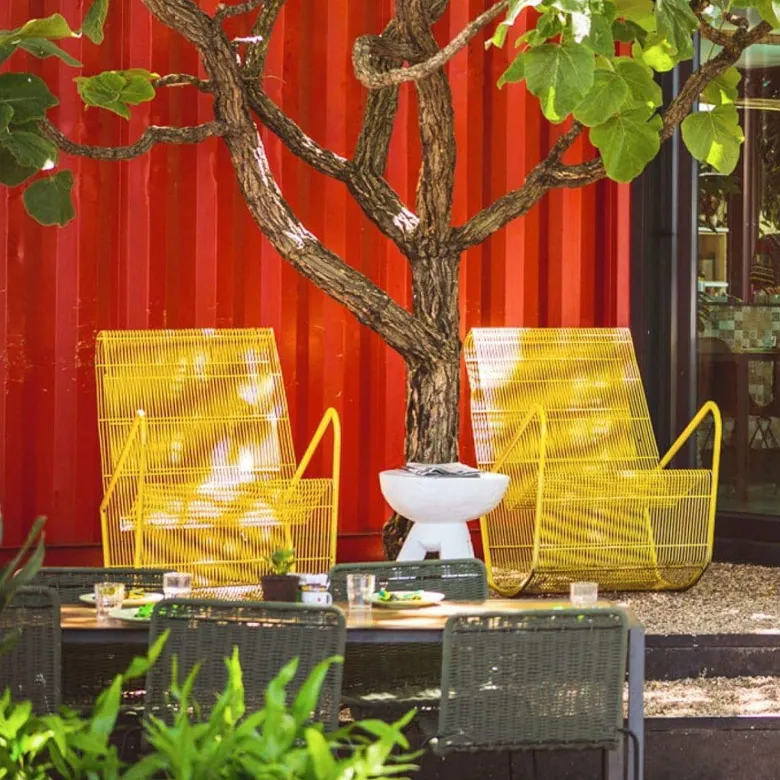 Yellow chairs and table under a tree against a red wall