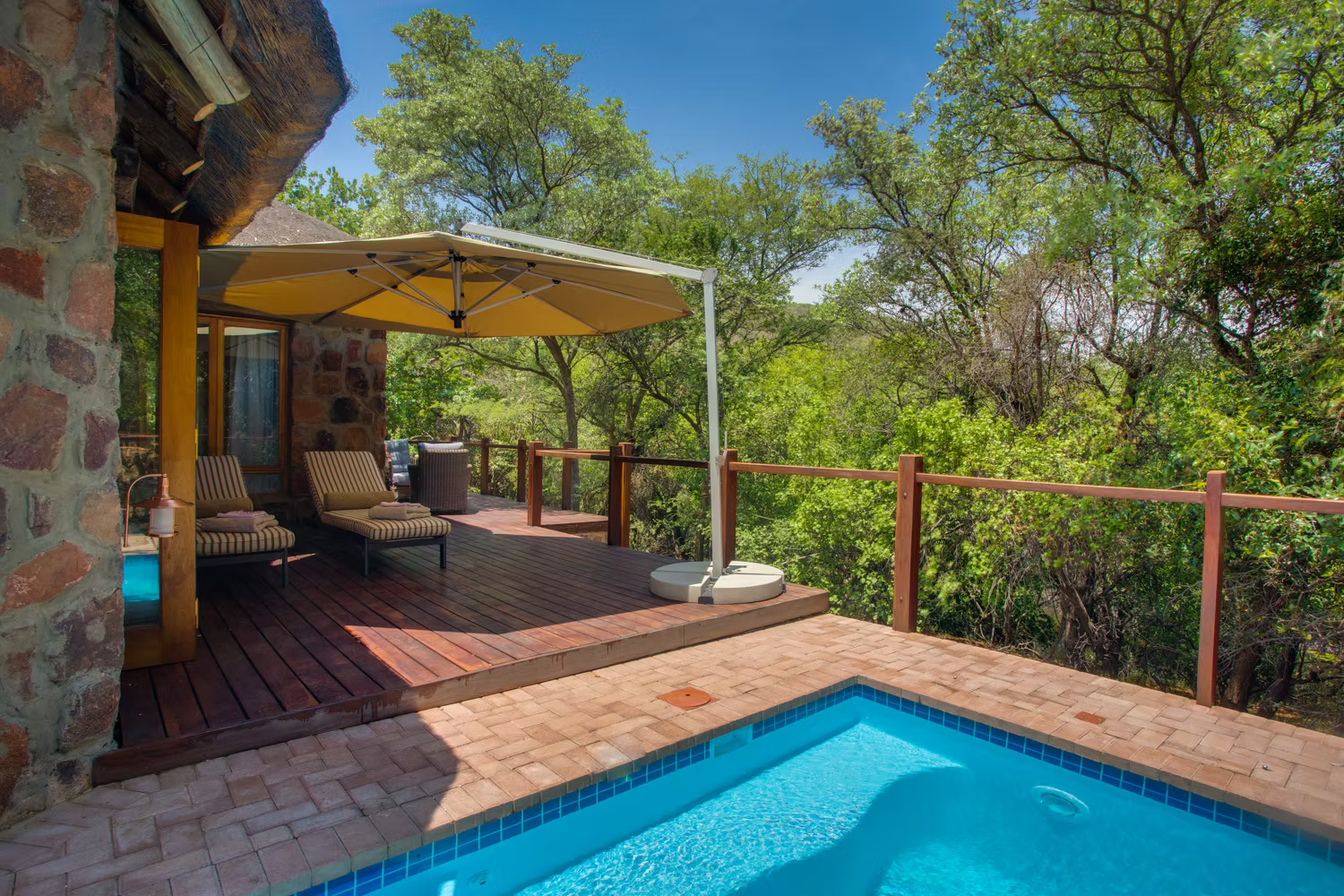 Bush Africa Safaris