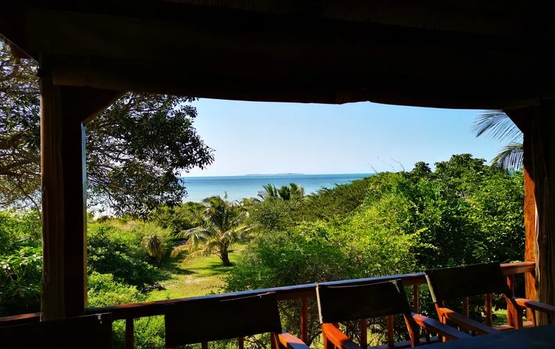 Wooden chairs on a deck overlooking a lush garden and ocean view
