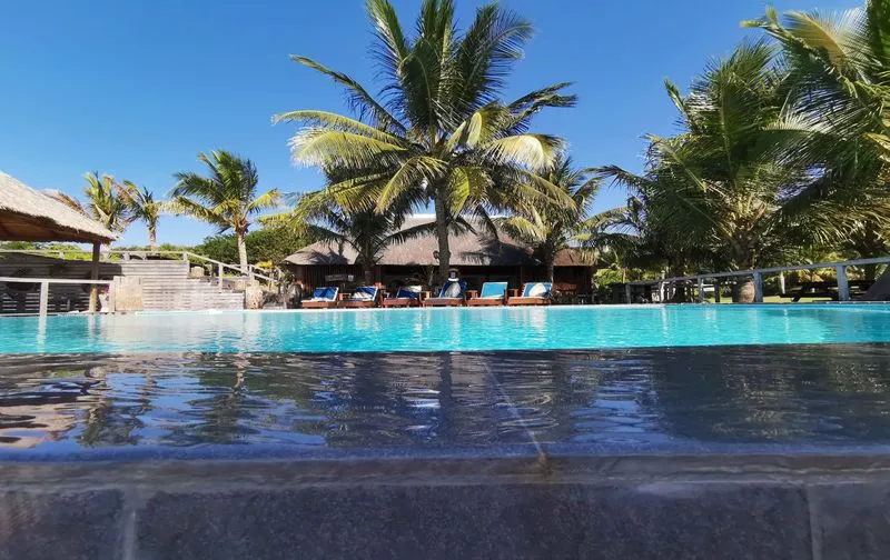 Swimming pool with palm trees and lounge chairs in a tropical setting