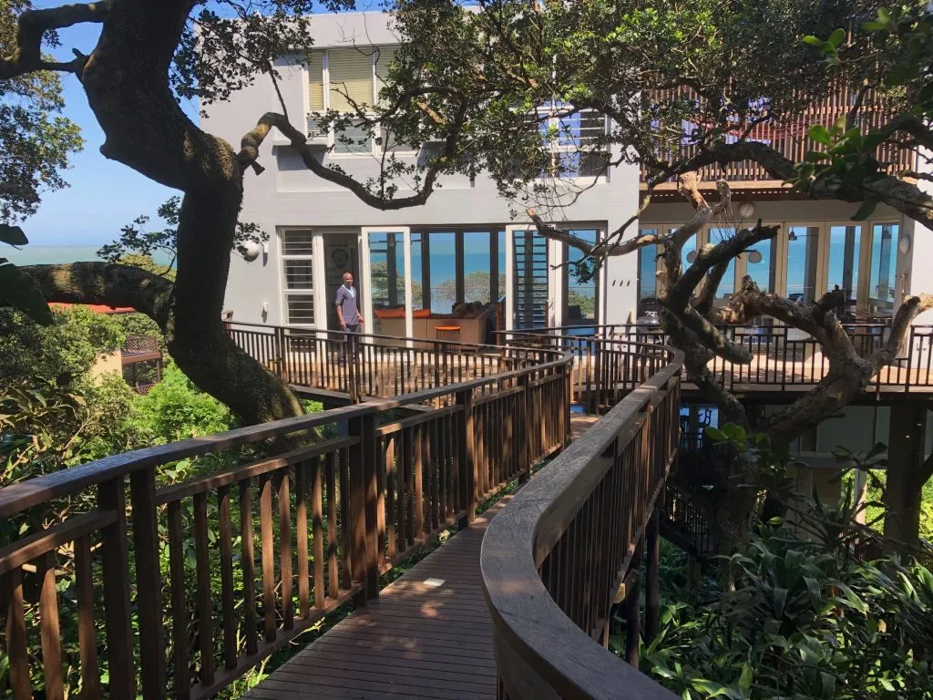Wooden walkway leading to a modern house with large windows surrounded by trees