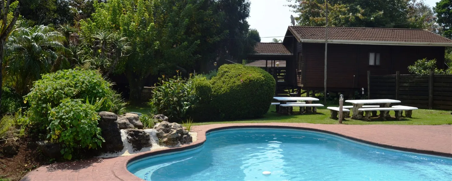 Swimming pool with waterfall greenery and wooden cabin in the background