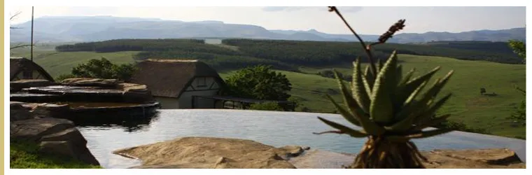 Aloe plant near a pool with a house and green hills in background