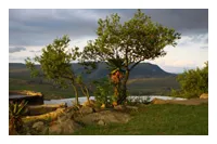 Trees on a rocky outcrop with a lake and mountains in the background