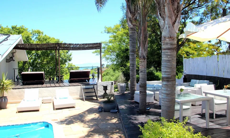 Outdoor patio with pool lounge chairs dining area and palm trees