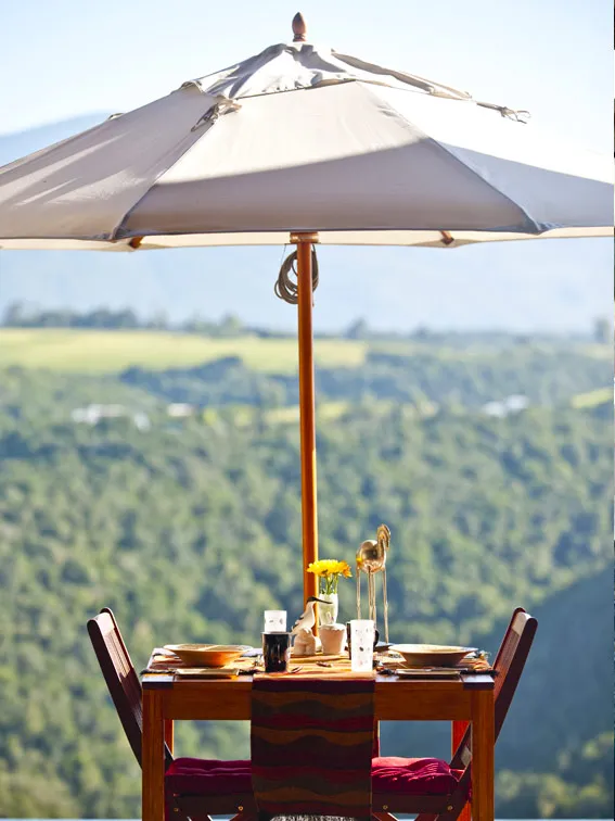 Wooden table with dishes under an umbrella scenic green landscape in background