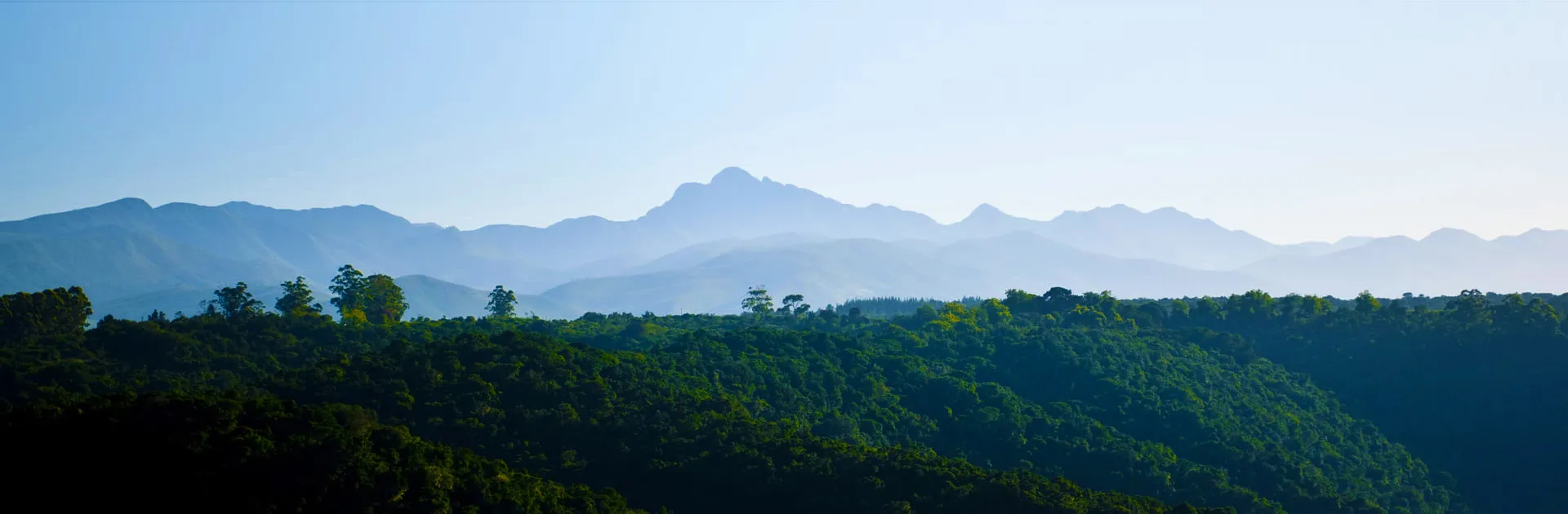 Lush green hills with distant mountains under a clear blue sky