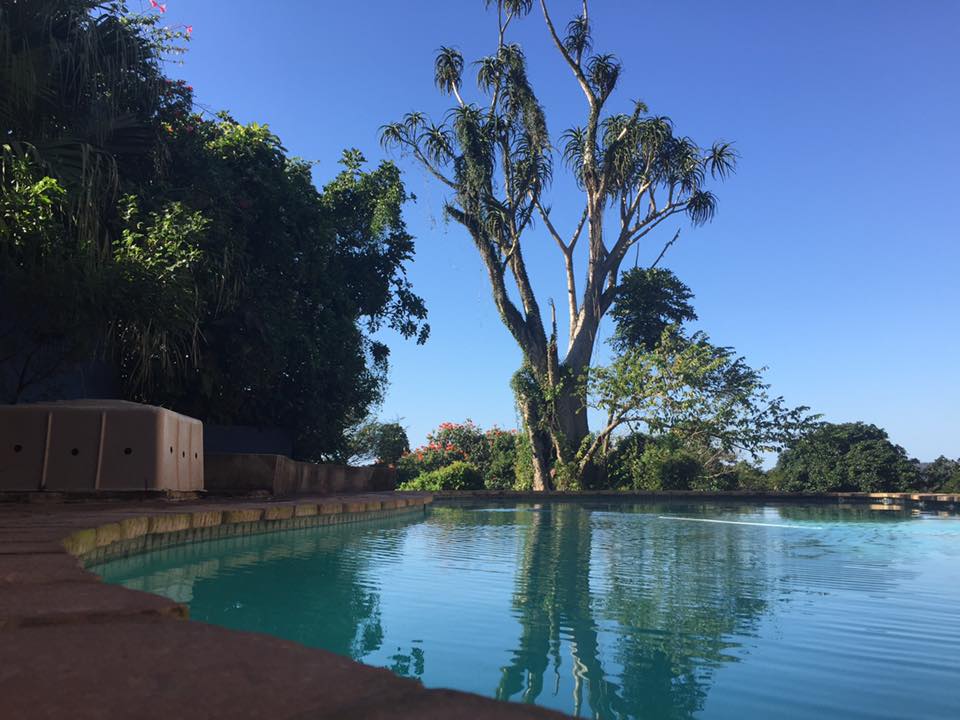 Ingwenya Lodge