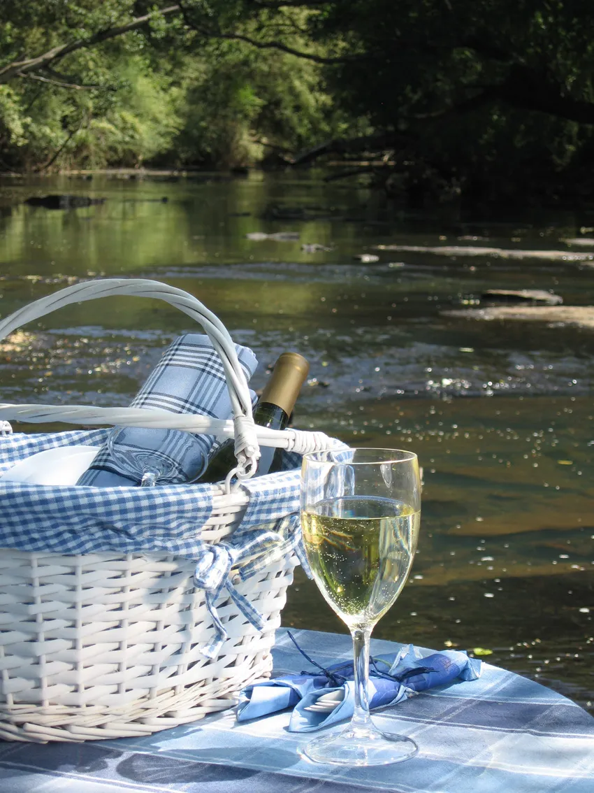 Picnic basket and wine glass by a river with a checkered cloth