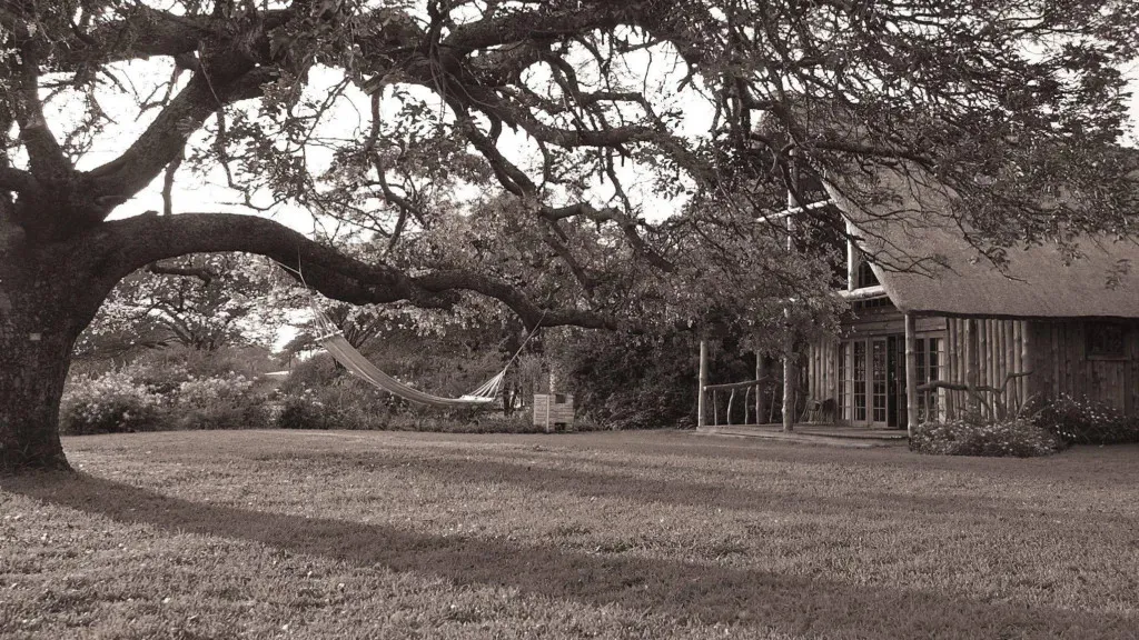 Large tree and hammock in front of a rustic house in a grassy area