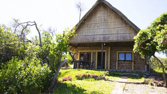 A thatchedroof house surrounded by greenery and flowers