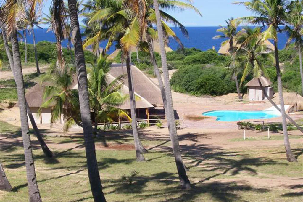 Tropical resort with palm trees thatched huts and a swimming pool by the ocean