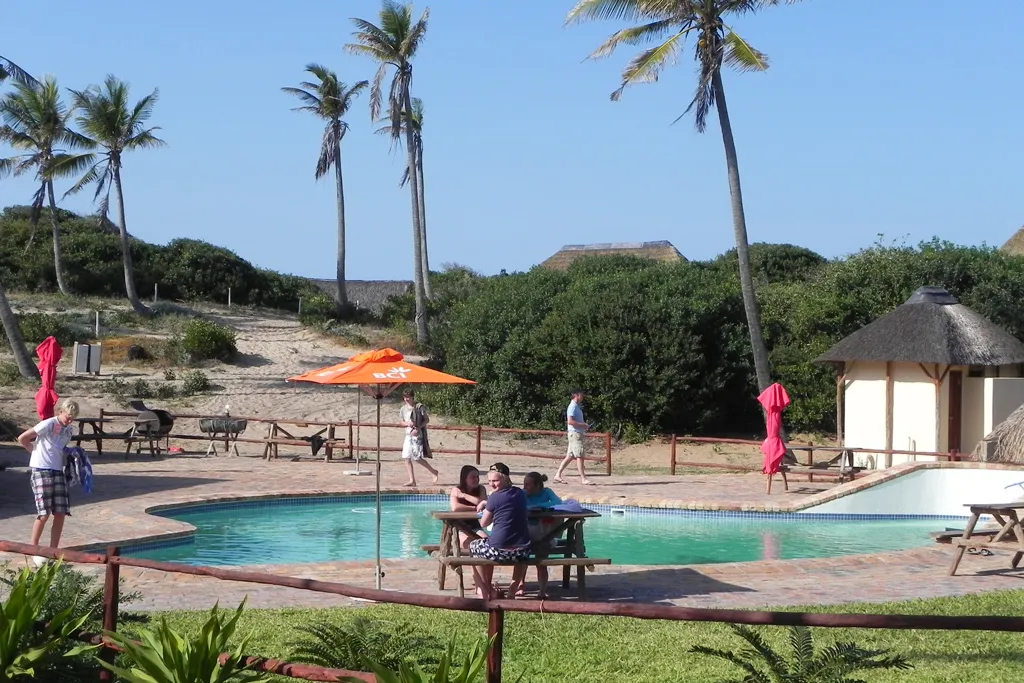 People relaxing by a pool with palm trees and umbrellas in a tropical setting