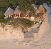 Beachfront huts with thatched roofs on sandy dunes near trees