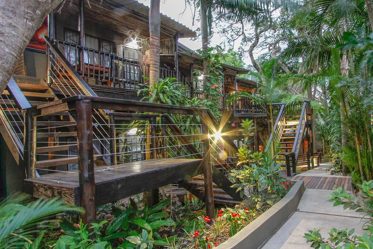 Wooden walkways and stairs in a lush tropical garden setting