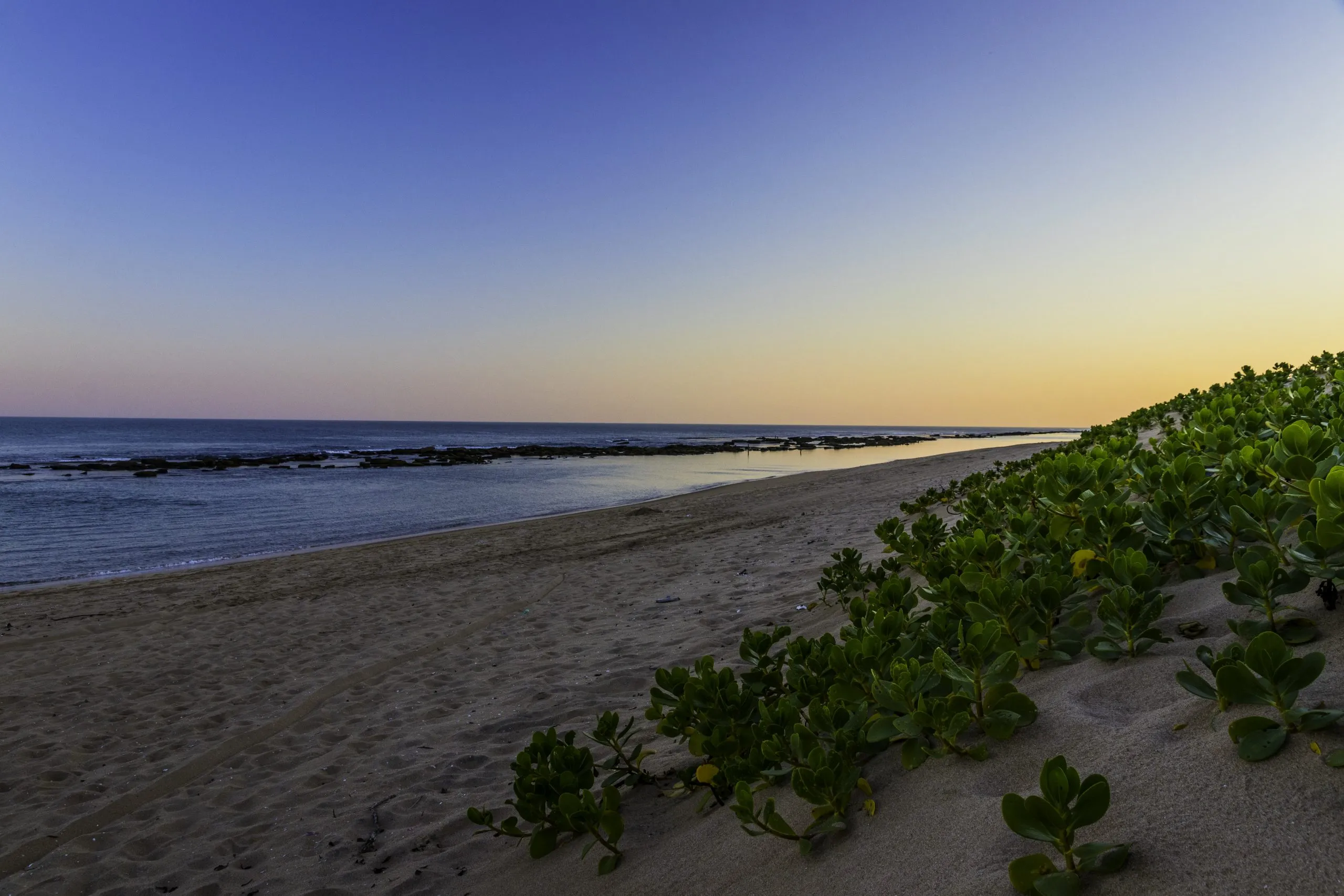 Beach at sunset with sand ocean and green vegetation on the right