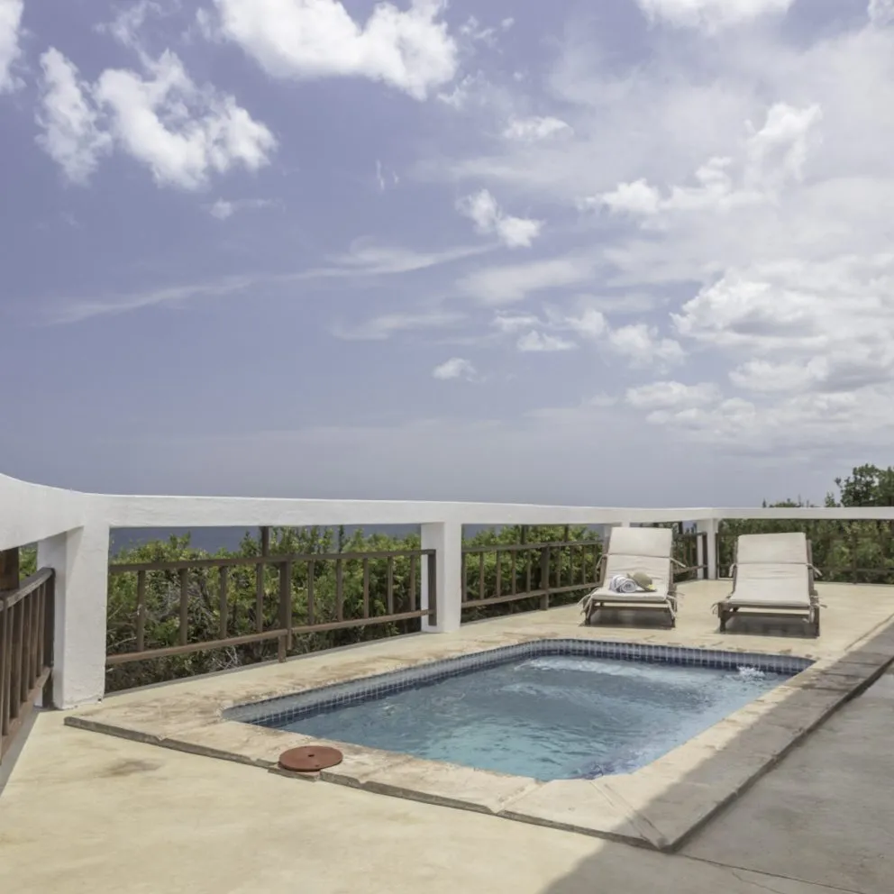 Two lounge chairs by a small pool with ocean view and greenery