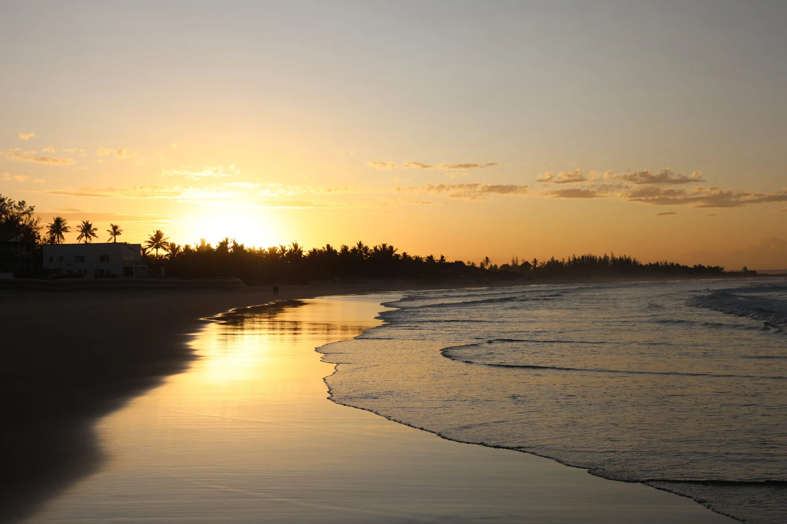 Sunset over a beach with gentle waves and palm trees in the background